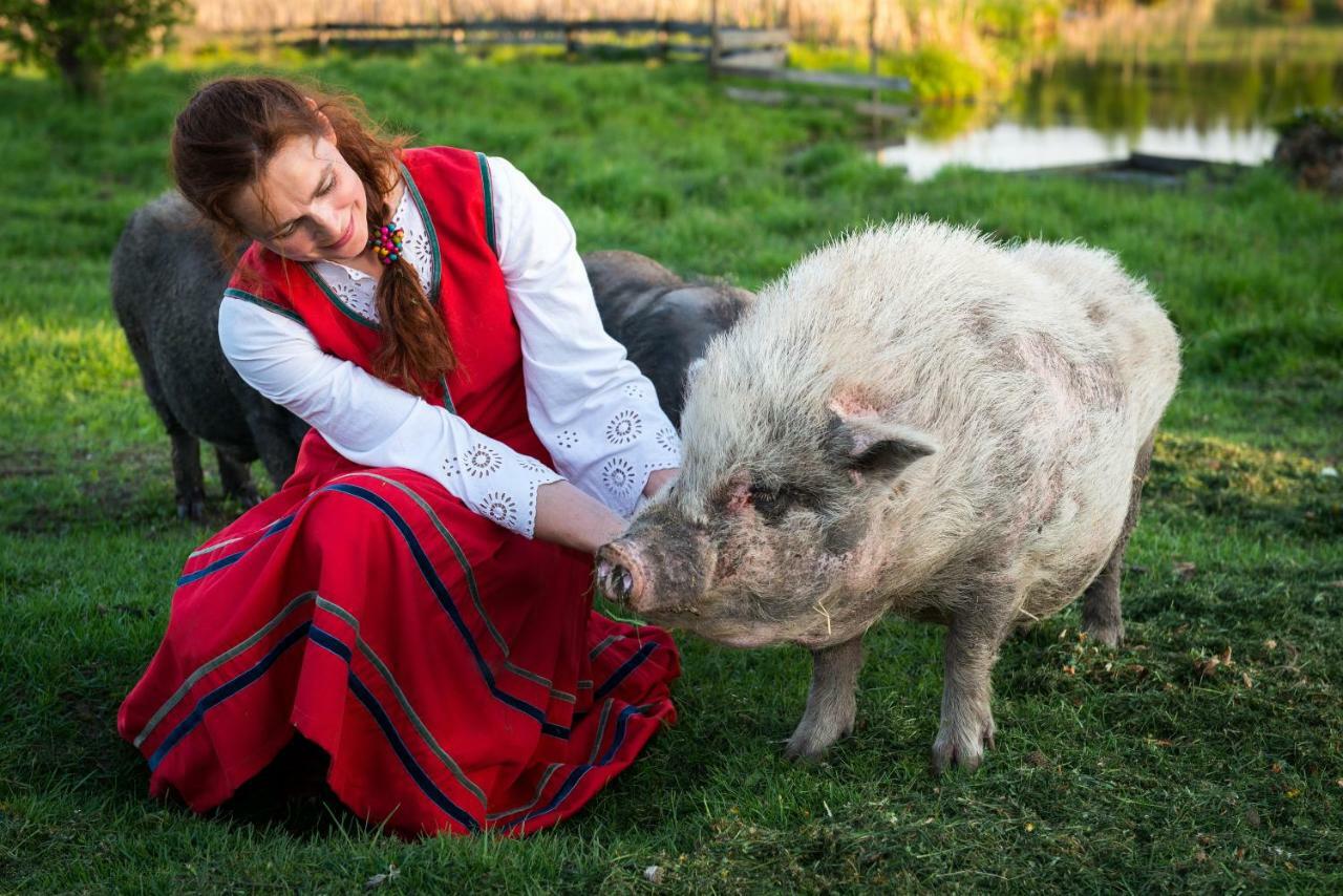 Apartament Tierstiftung Eulalia Babieta Zewnętrze zdjęcie